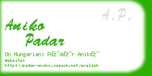 aniko padar business card